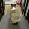 Dilo Con Animales  Vol.1 27