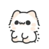 Cat animation, lucu 12