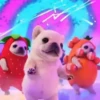 Perro pibble dog tiktok 15