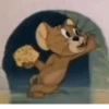 Tom and Jerry Animated 11