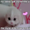 💓🐱Michis Para Tu Amorcito🐱💓 7