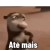 Reações 2.2😎 8