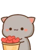 Peach Cat 19
