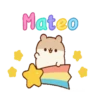 🌈Hámstercito Con Nombres🌈 18