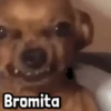 Bromita