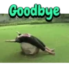 Modi Funny Memes 5