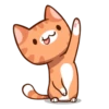 🤎🐱Gatitos🐱🤎 7