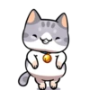 🤎🐱Gatitos🐱🤎 8