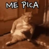 Gatitos pa' tu whatsaap ๏ᴥ๏ 8
