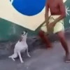 RECEBA 12