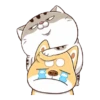 Meme kucing gerak lucu 8