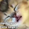 Ulu ulu gumushhh🥰 14