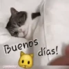 Memes pa' decir buen dia☀️ 6