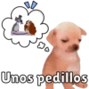 Unos Pedillos 🐶 6