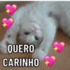 SÓ GATINHOS FOFOS ❤️ 5