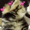 Memes & memes v3 ✨ 6