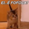 PARA FOFOCAR 5