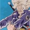 Dragon Ball 13