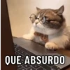 SÓ GATINHOS FOFOS ❤️ 8