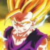 Dragon Ball 24