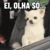 NÃO ACREDITO 13
