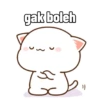 Peach Cat 10
