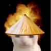 GATOS VIRALES 😸🐈🔥 5