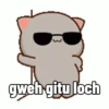 Peach Cat 7