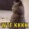 Memes & memes v2 11