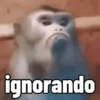 Aleatórias e engraçadas 🤭😂 9
