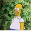 Funny Memes 9
