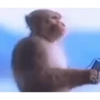 Viral Gif 5 13