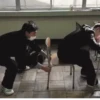 Funny memes 6