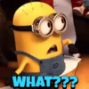 Minions 11