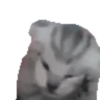 Cat Meme 2025 7