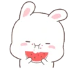 Bunny gemoyyy 11
