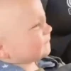 Bebês Animado  9