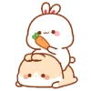 The little bunny 3 11