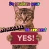 Do you love your BISEXUAL Human? YES!