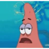 Memes do bob esponja 11