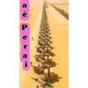 @bobcat.oficial tiktok kwai 6