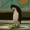 Madagascar GIFs 11
