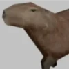 Shitpost 12