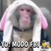 🙈Reacciones de Monos/Monkeys🙉 7