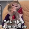 🍌🦍MoNoS #2🍌🦍 3