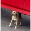 Jajaj 27