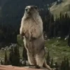 Funny animals🐾🐾 10