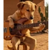 @bobcat.oficial tiktok kwai 9