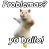 Ratones contestones 🐁🐭 7