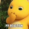 MY REACTION